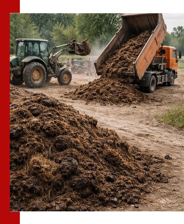 Доставка навоза самосвалами в Кыштыме для сельхозпотребностей