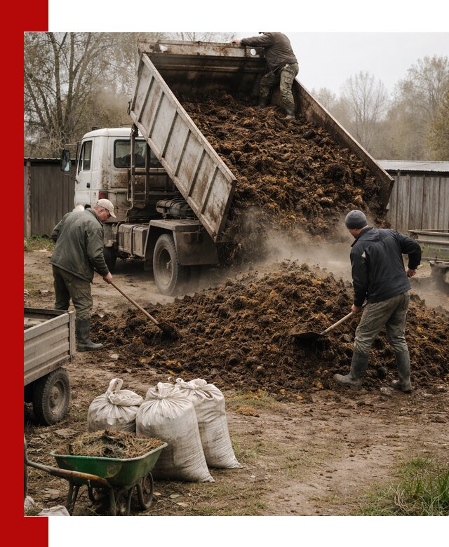 Доставка коровьего навоза самосвалом в Кыштыме